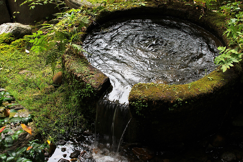 井戸洗浄の費用は状況によって異なる｜井戸洗浄の必要性とタイミング、専門業者の選び方とは